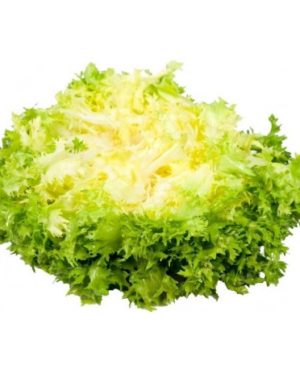 Salade Sucrine x3 - Cdiscount Au quotidien